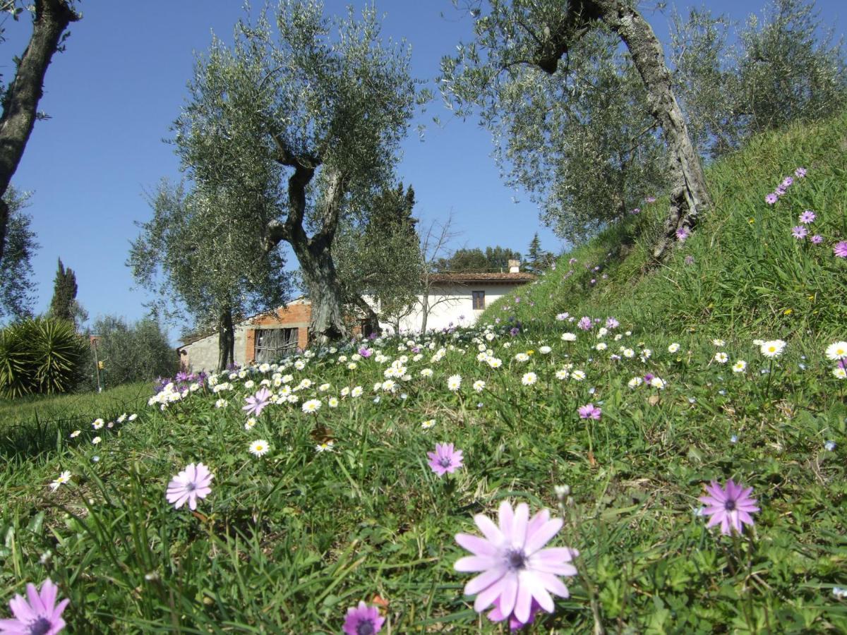 Podere Sanlorenzo Carmignano Bagian luar foto